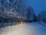 IMG-20201227-WA0015
